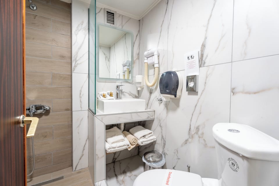 Free toiletries, hair dryer, towels