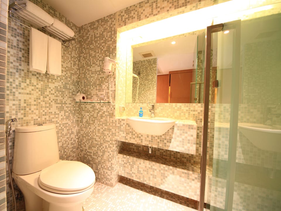 Shower, free toiletries, hair dryer, bidet