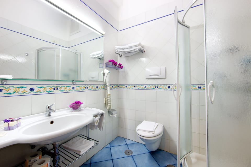 Hair dryer, slippers, bidet, towels