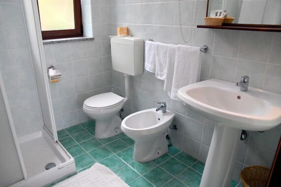 Shower, free toiletries, hair dryer, bidet