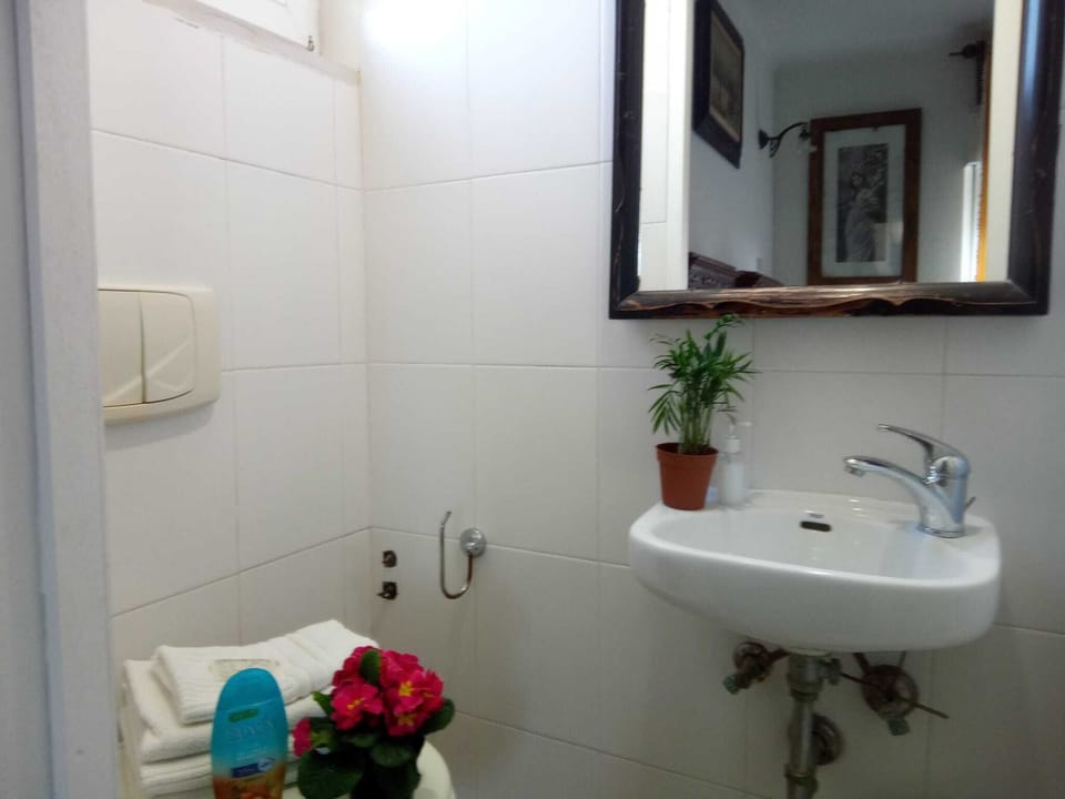 Deluxe Double or Twin Room | Bathroom | Shower, free toiletries, hair dryer, towels