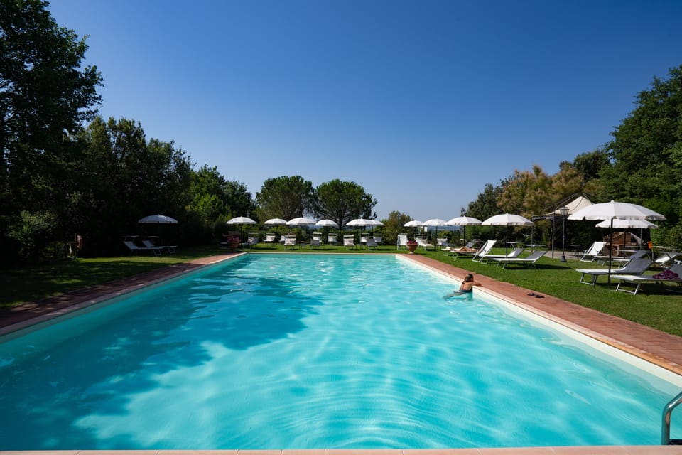 Seasonal outdoor pool, pool umbrellas, sun loungers