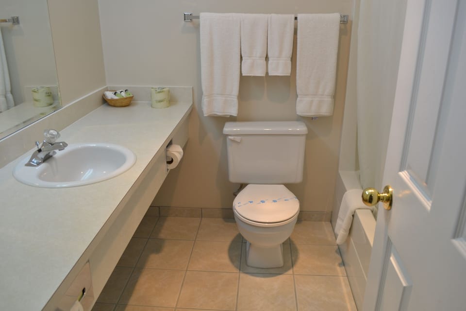 Room, 1 Queen Bed, Kitchenette | Bathroom | Combined shower/tub, free toiletries, towels, soap