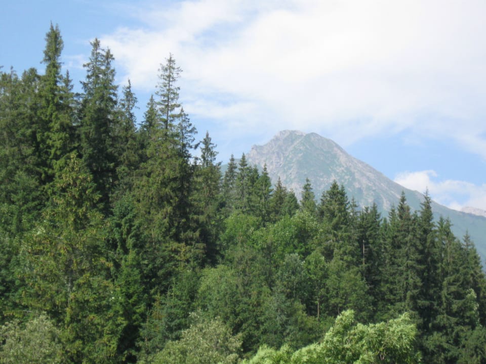Mountain view