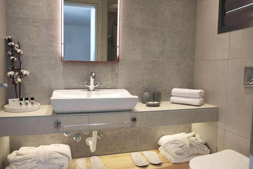 Shower, free toiletries, hair dryer, bathrobes