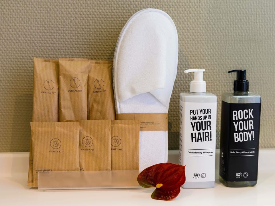 Premium Double Room, 1 Double Bed | In-room safe, desk, soundproofing, iron/ironing board