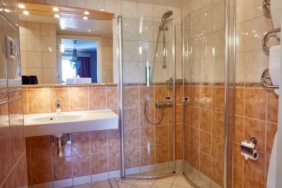 Suite | Bathroom | Shower, hair dryer, towels