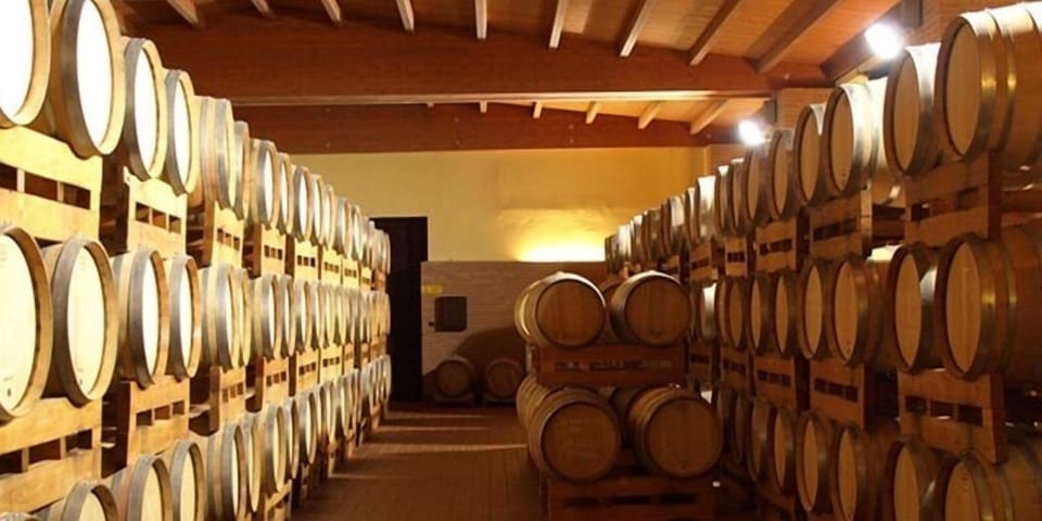 Vineyard