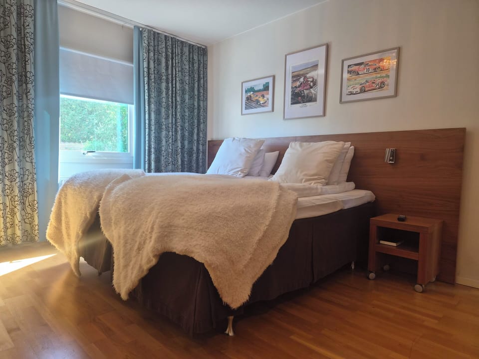 Business Double Room (Lux) | Desk, blackout drapes, iron/ironing board (on request), WiFi (free)