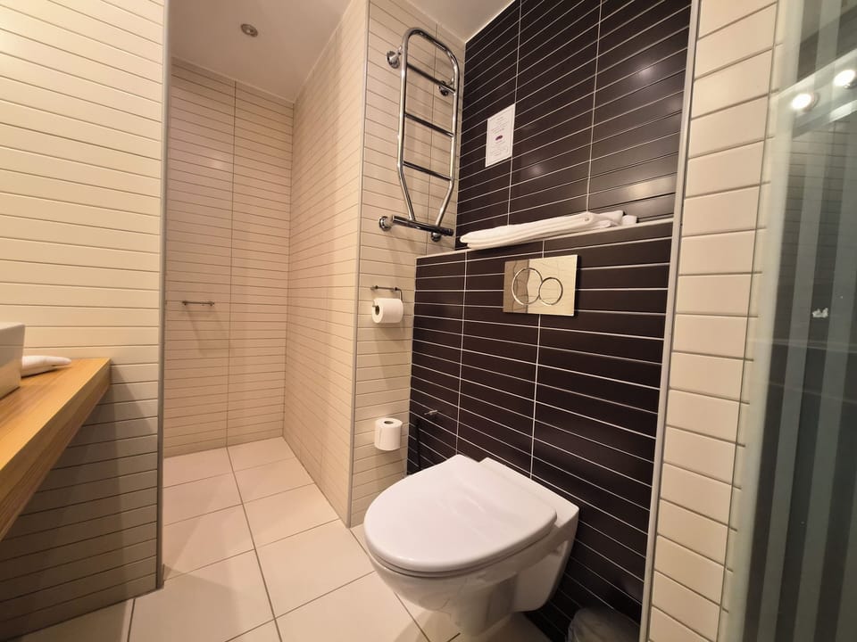 Business Double Room (Lux) | Bathroom | Shower, free toiletries, hair dryer, towels