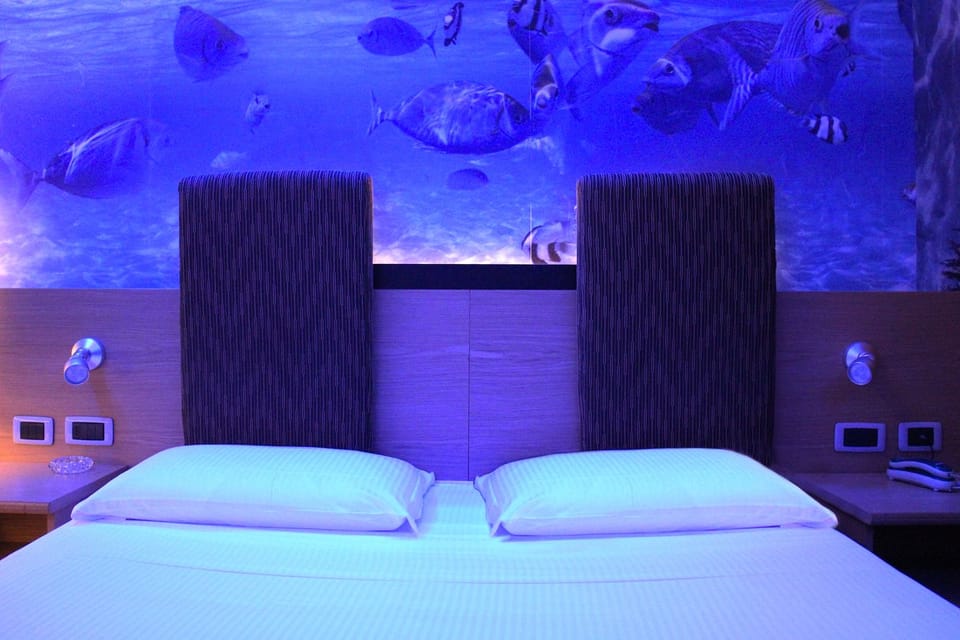 Standard Double Room Single Use | Premium bedding, minibar, in-room safe, desk