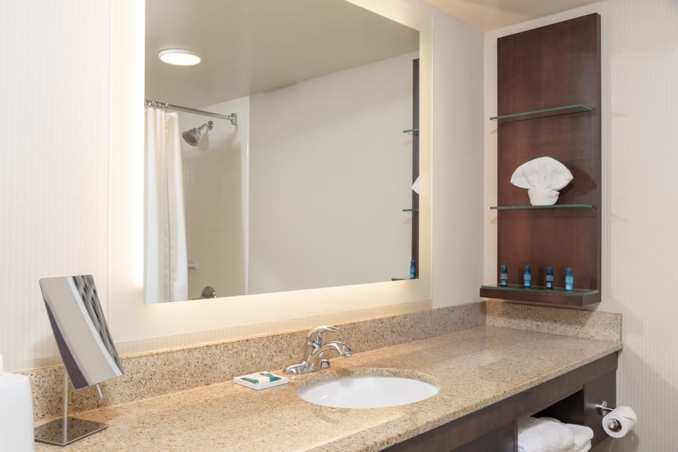Combined shower/tub, free toiletries, hair dryer, towels