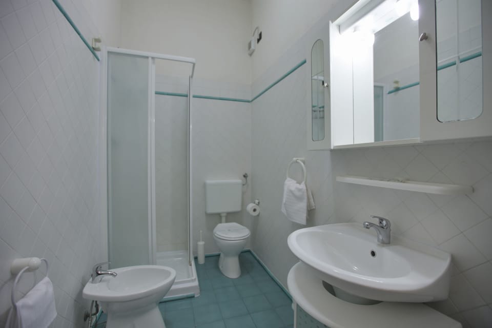 Shower, rainfall showerhead, hair dryer, bidet