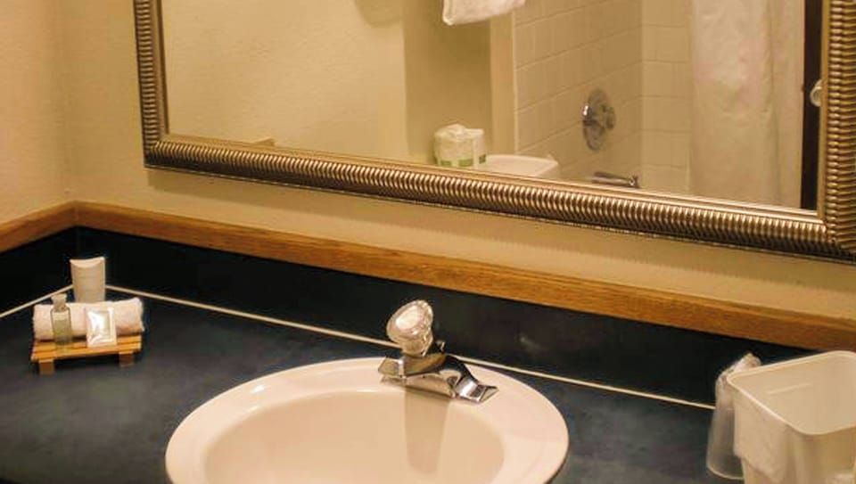 Combined shower/tub, hair dryer, towels