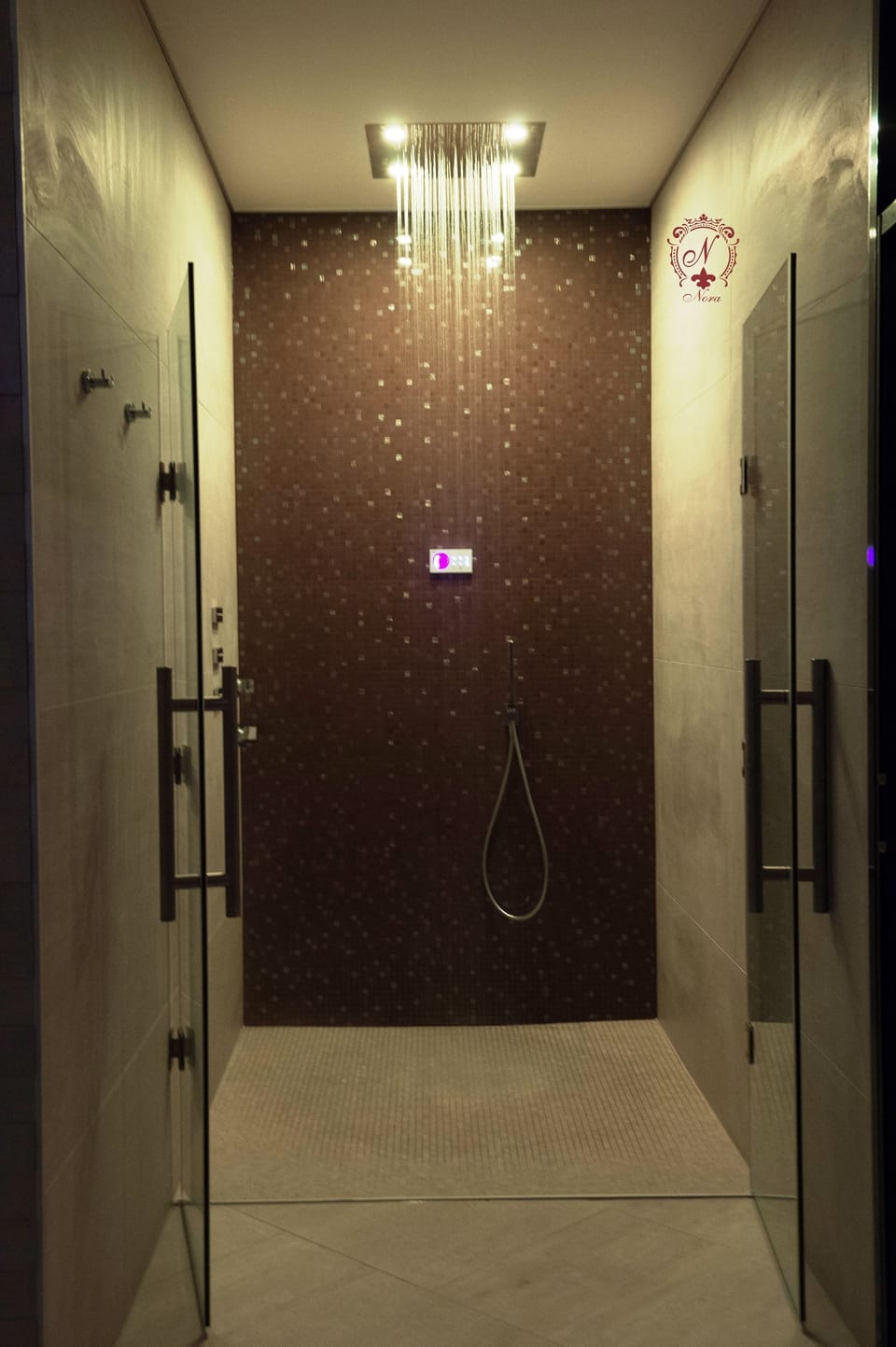 Sauna, steam room