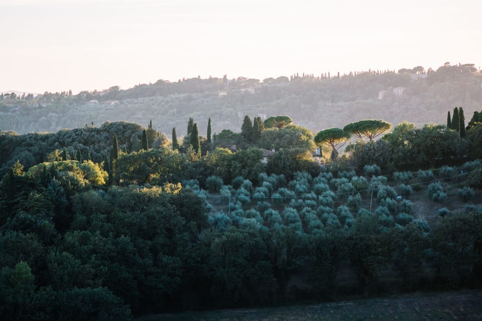 Land view from property