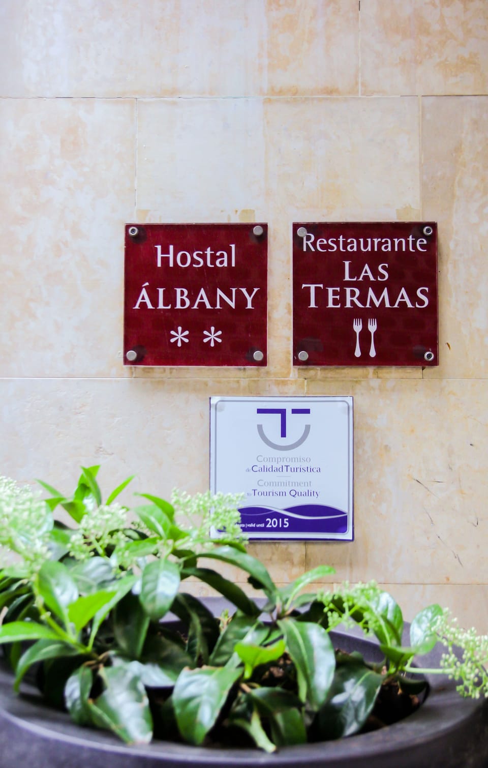 Hostal Albany Ancha Hostel in León