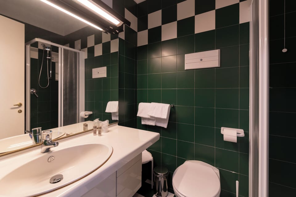 Shower, free toiletries, hair dryer, bidet