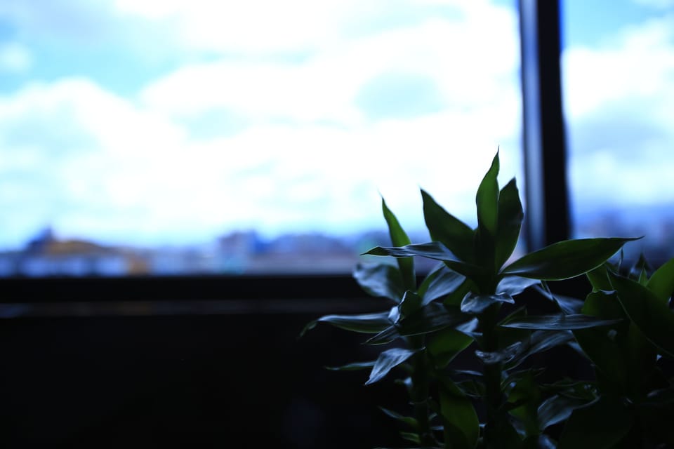 Standard Double Room | Blackout drapes, free WiFi