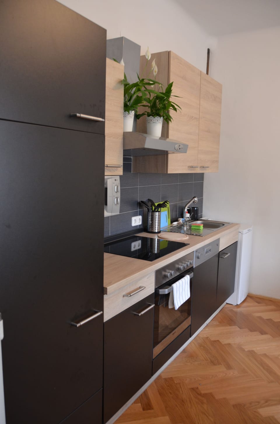 Apartment, 2 Bedrooms, Private Bathroom, River View | Private kitchen | Fridge, microwave, stovetop, cookware/dishes/utensils