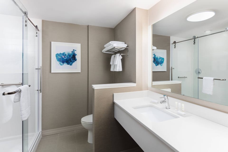 Combined shower/tub, hair dryer, towels, soap