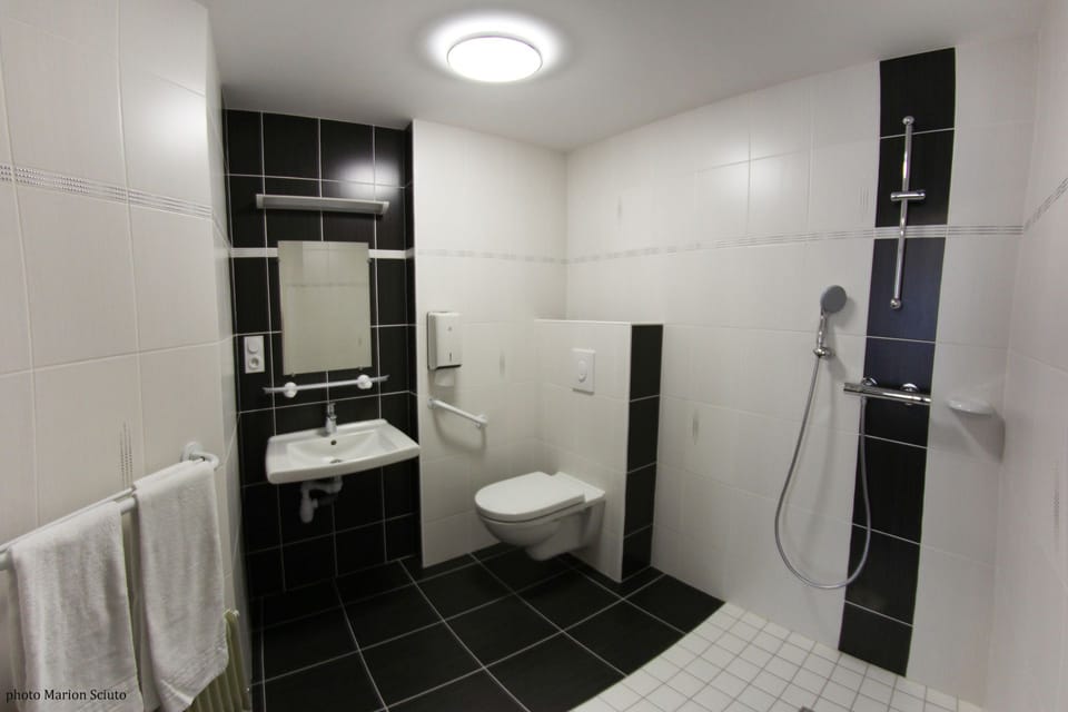 Standard Twin Room | Bathroom | Shower, free toiletries, hair dryer, towels