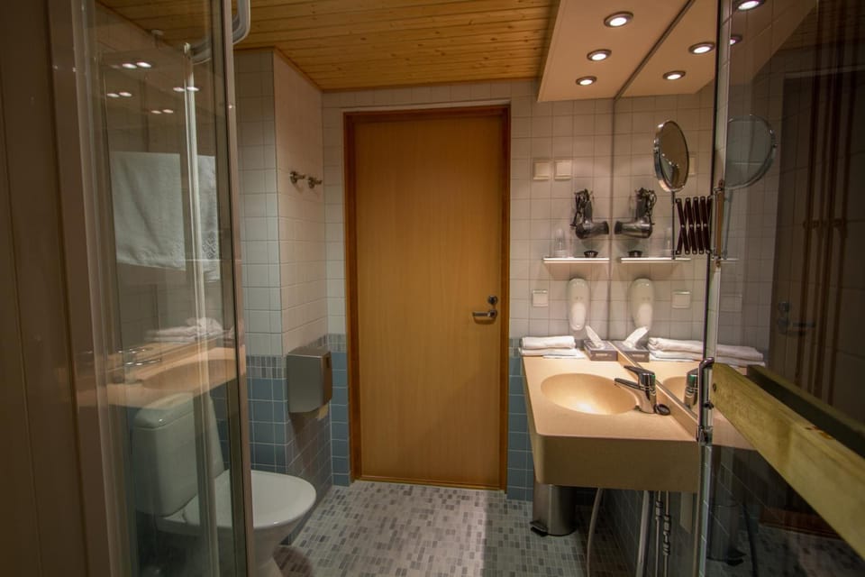 Shower, free toiletries, hair dryer, towels