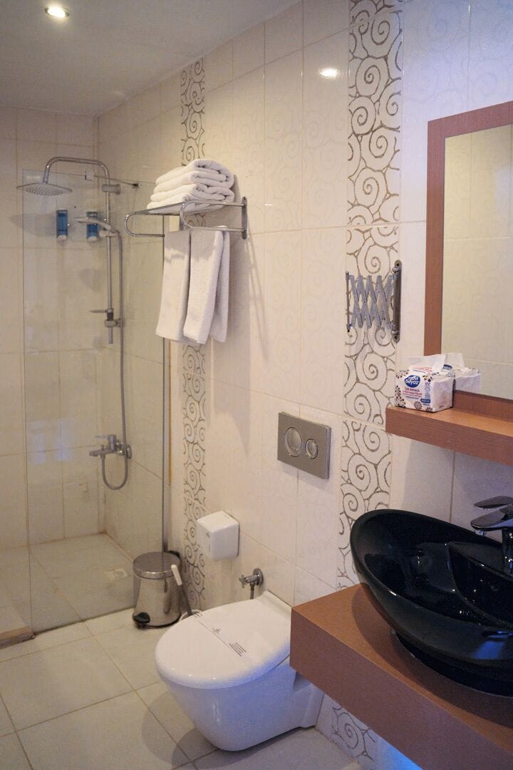 Deluxe Double Room | Bathroom | Shower, free toiletries, hair dryer, slippers