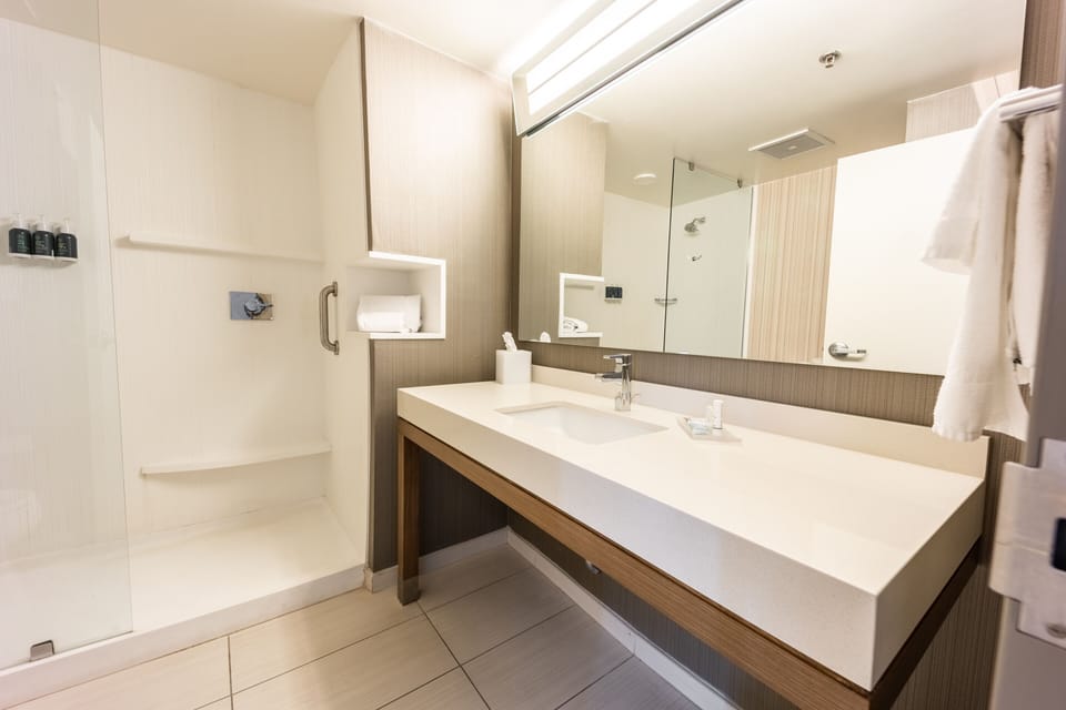 Hair dryer, towels, soap, shampoo
