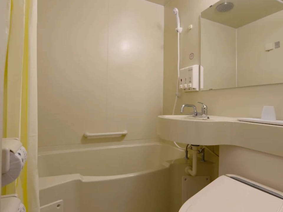 Combined shower/tub, electronic bidet