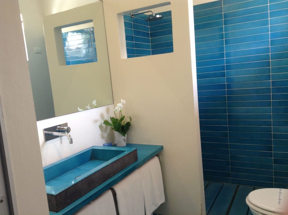 Shower, free toiletries, hair dryer, bathrobes