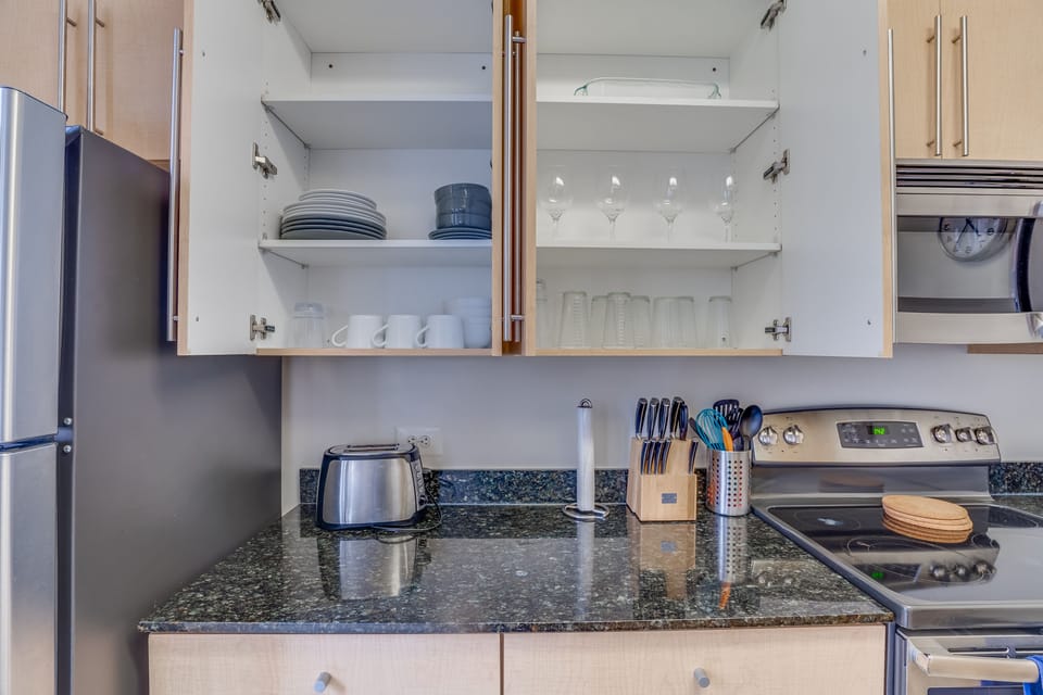 Premium Apartment, 2 Bedrooms, Kitchen | Private kitchen | Fridge, microwave, oven, stovetop