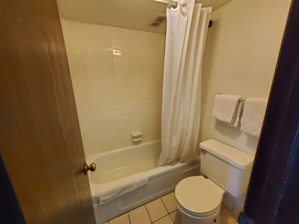 Combined shower/tub, free toiletries, hair dryer, towels