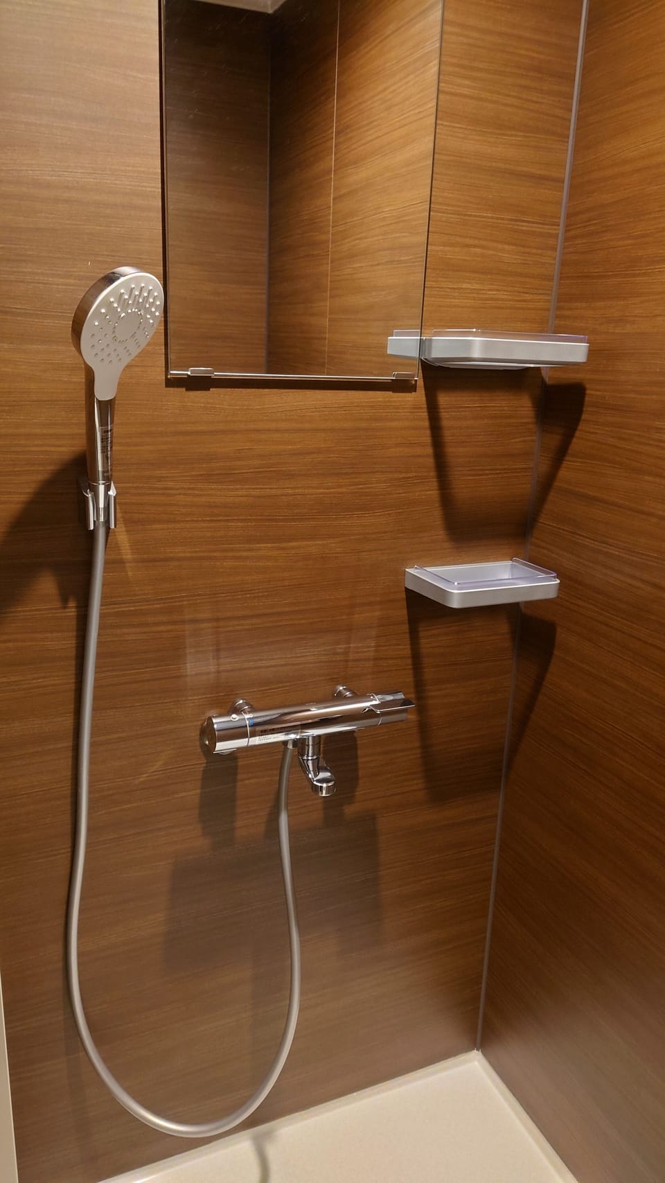 Deluxe Twin Room (Private Bathroom) | Bathroom | Free toiletries, slippers, bidet, towels