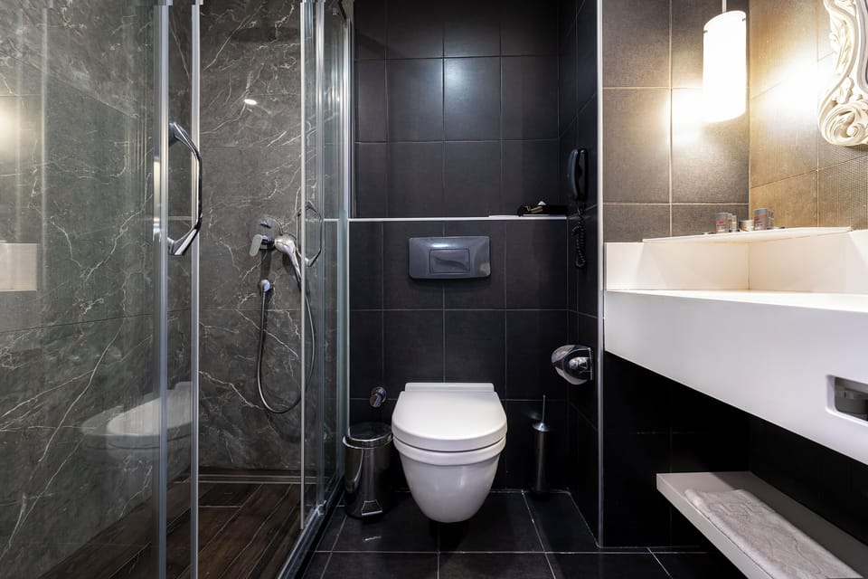 Free toiletries, hair dryer, towels