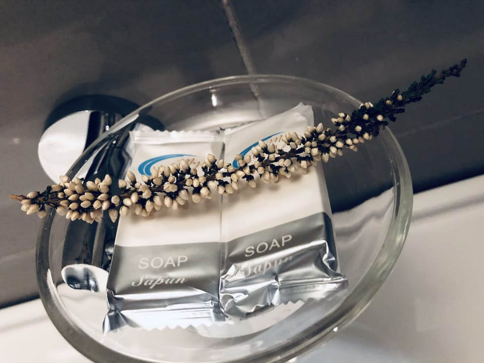 Jetted tub, free toiletries, hair dryer, slippers