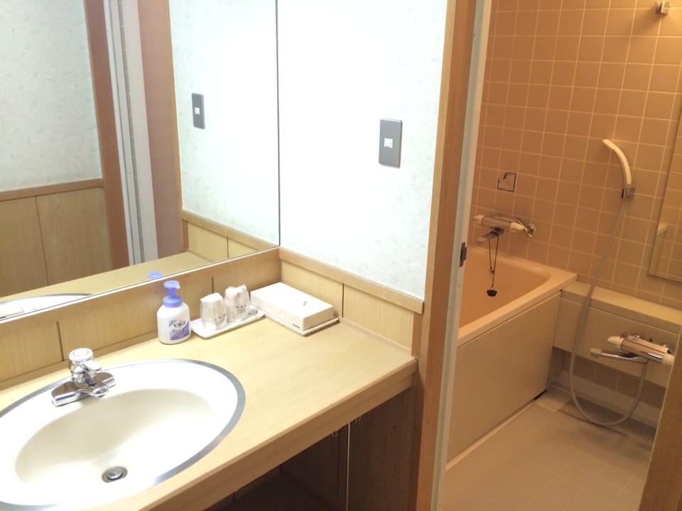 Separate tub and shower, free toiletries, hair dryer, slippers