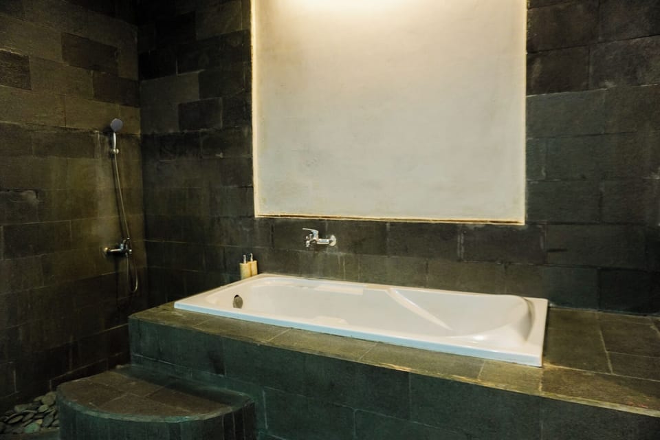 Deluxe Room | Bathroom | Shower, rainfall showerhead, free toiletries, hair dryer