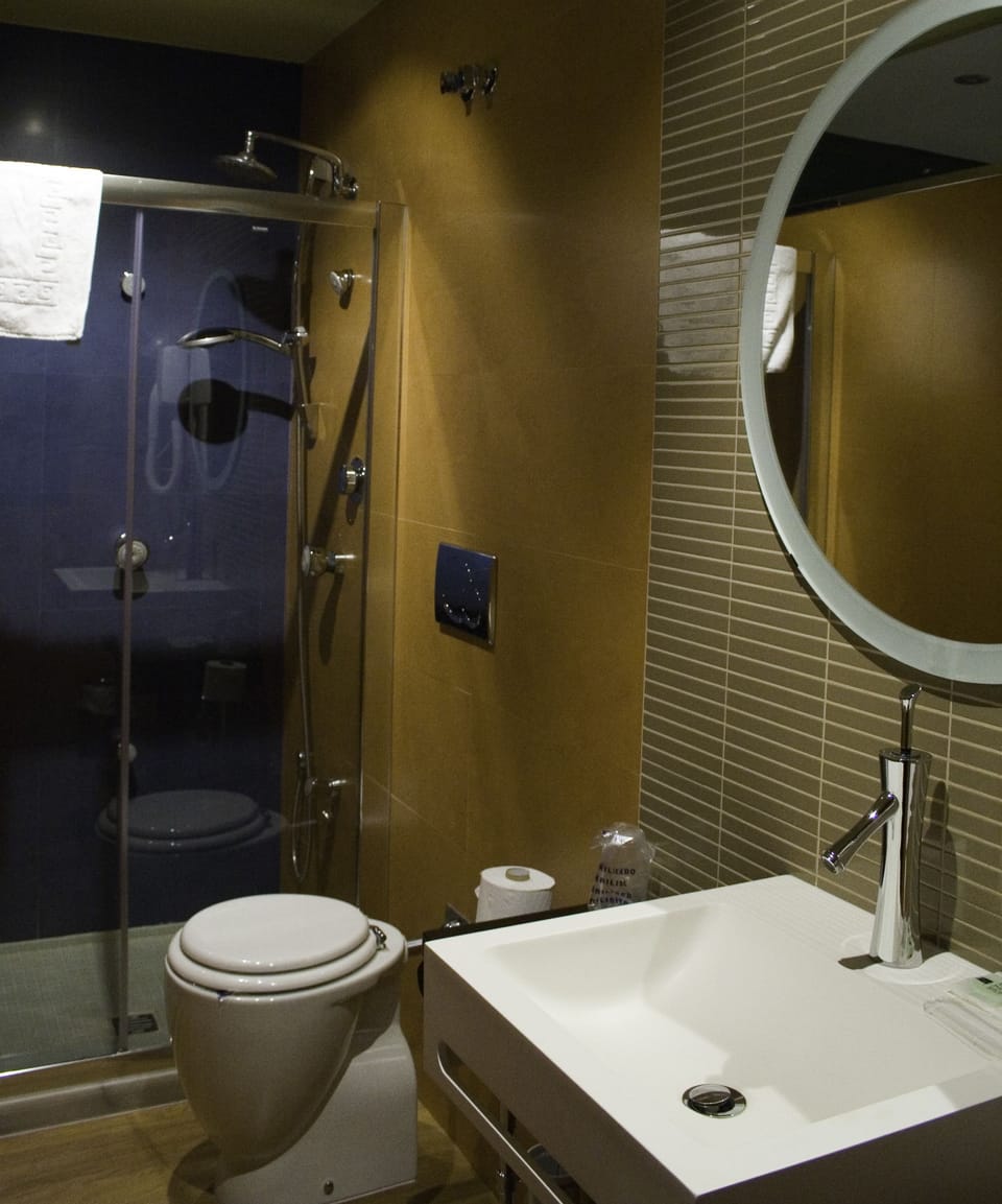 Suite | Bathroom | Shower, free toiletries, hair dryer, towels
