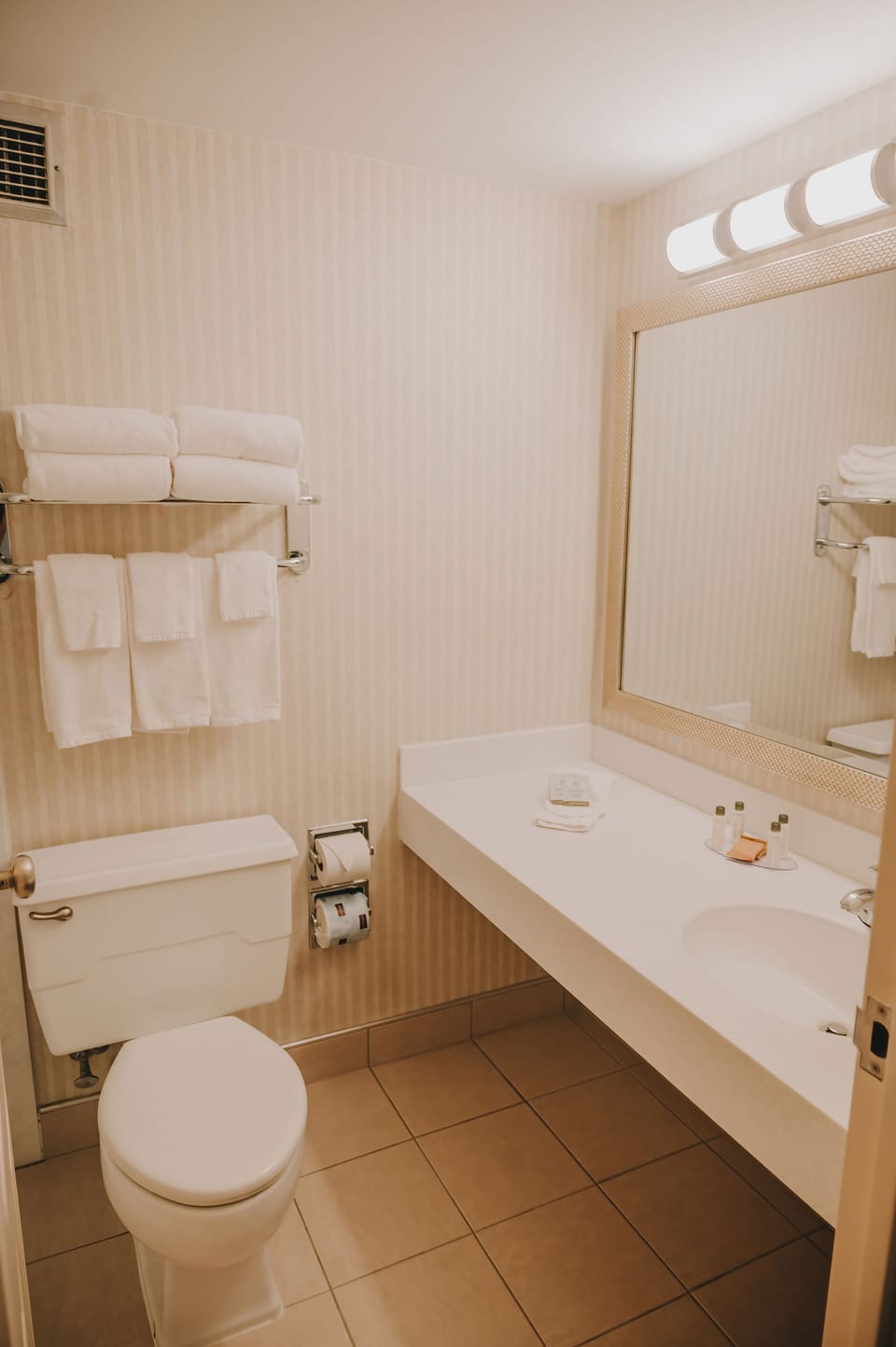 Combined shower/tub, free toiletries, hair dryer, towels