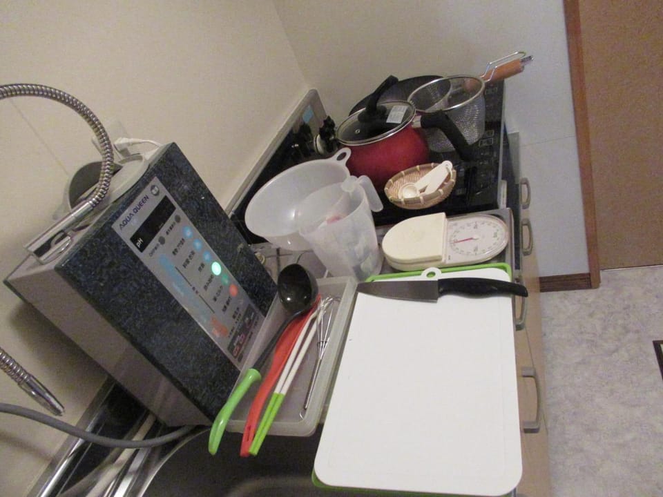 Apartment | Private kitchen | Fridge, microwave, oven, stovetop