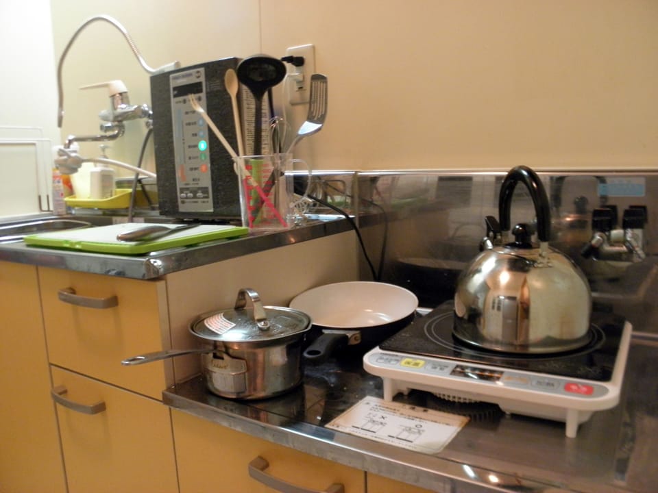 Apartment | Private kitchenette | Fridge, microwave, oven, stovetop