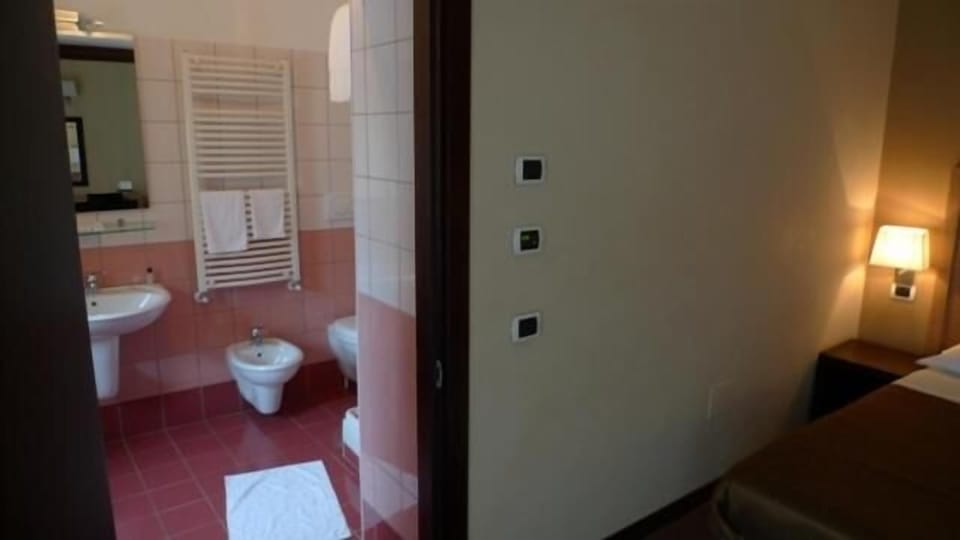 Free toiletries, hair dryer, bidet, towels