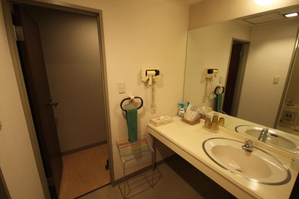 Combined shower/tub, deep soaking tub, free toiletries, hair dryer