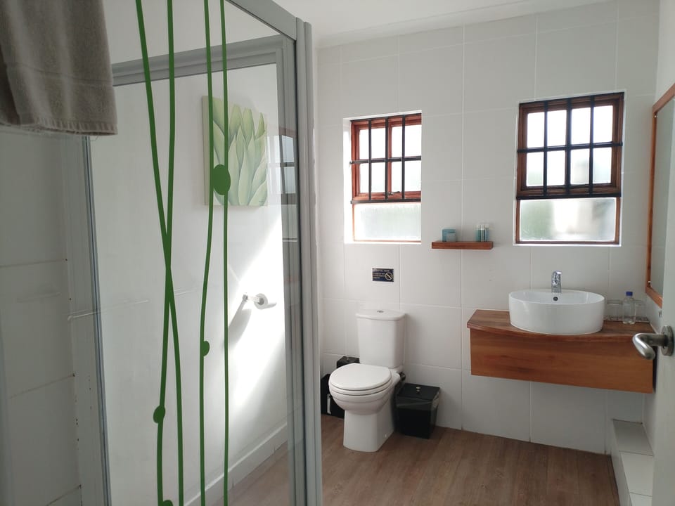 Classic Twin Room | Bathroom | Shower, free toiletries, hair dryer, towels