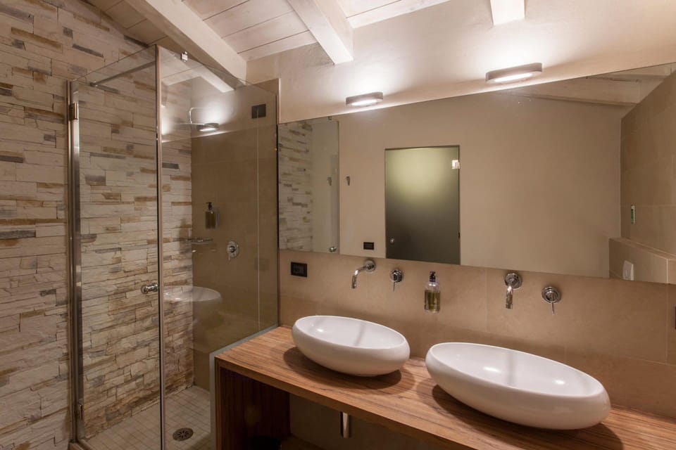Premium Suite | Bathroom | Shower, hair dryer, towels