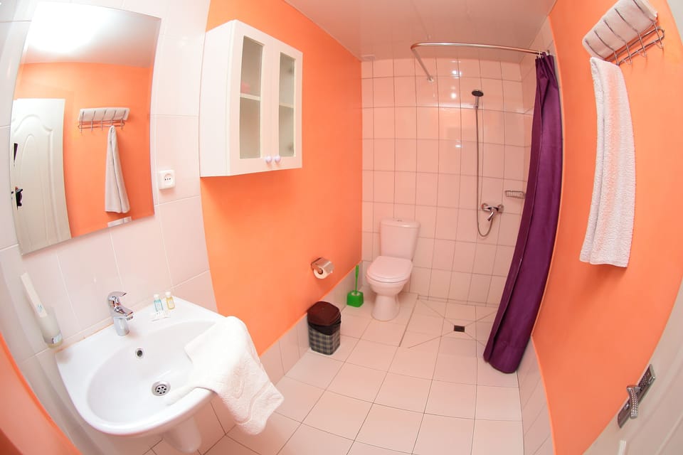 Star Hotel Tashkent Hotel in Europe