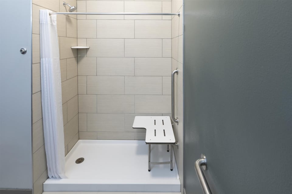 Standard Room, 1 King Bed, Accessible, Non Smoking (Walk-in Shower) | Bathroom | Designer toiletries, hair dryer, towels, soap