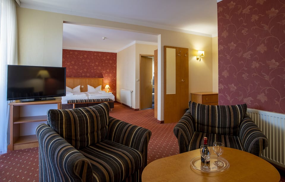 Suite (Main Building) | Living area | TV