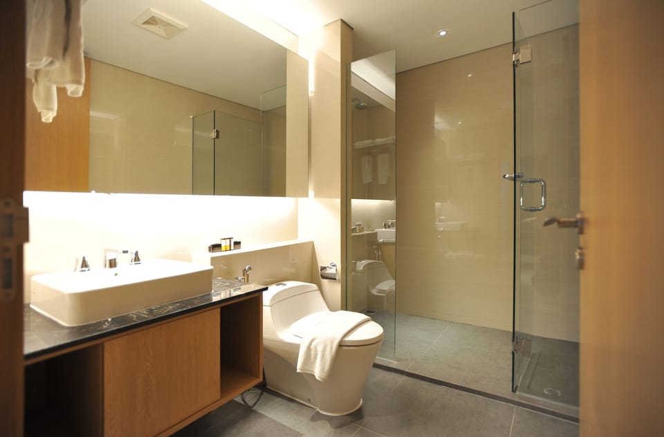 Shower, free toiletries, hair dryer, bathrobes